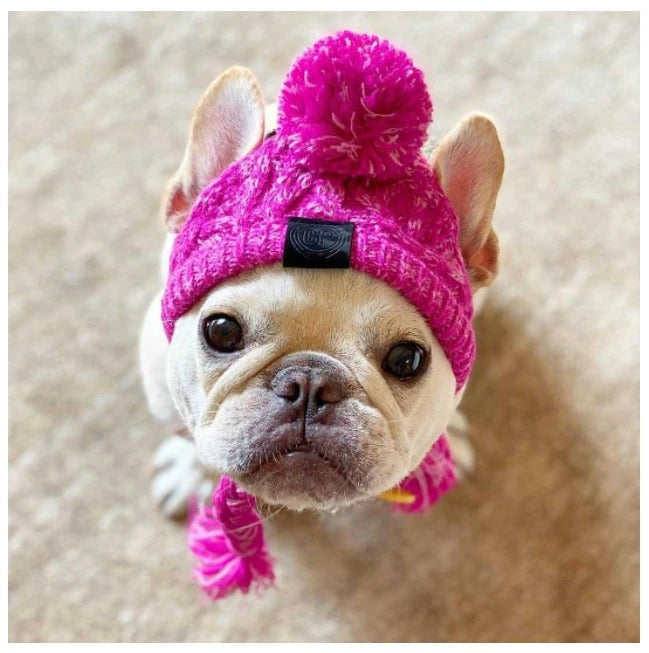 ArcticPaws Pet Beanie
