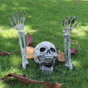 Spooky Surprise Skull Halloween Prop