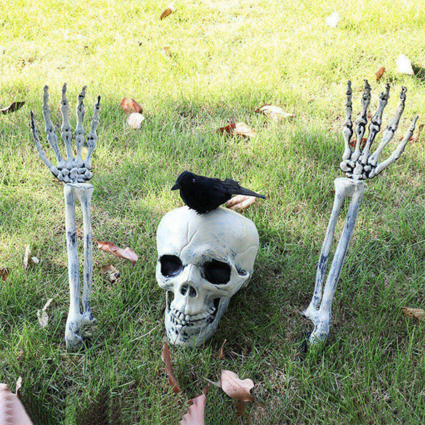 Spooky Surprise Skull Halloween Prop