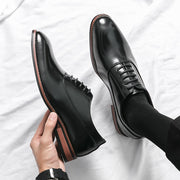 Ferano Men's Elgant Oxford Shoes