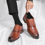 Ferano Men's Elgant Oxford Shoes